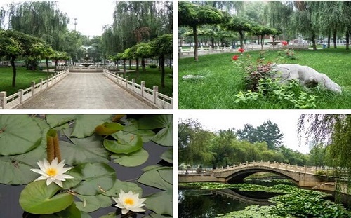 石家莊鐵路中專學校哪個口碑好？