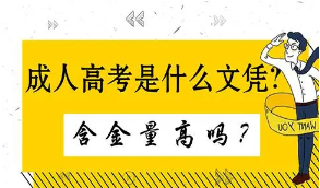 2021年成人高考哪些專業(yè)對口公務(wù)員考試呢？