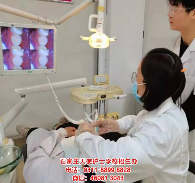 開啟護(hù)理之門，2024年春季石家莊天使護(hù)士學(xué)校招生簡章全解