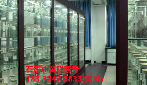 中專中藥專業(yè)能考哪些證書(shū)？