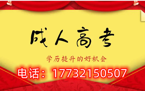 干貨！備考必讀，成考不踩雷！