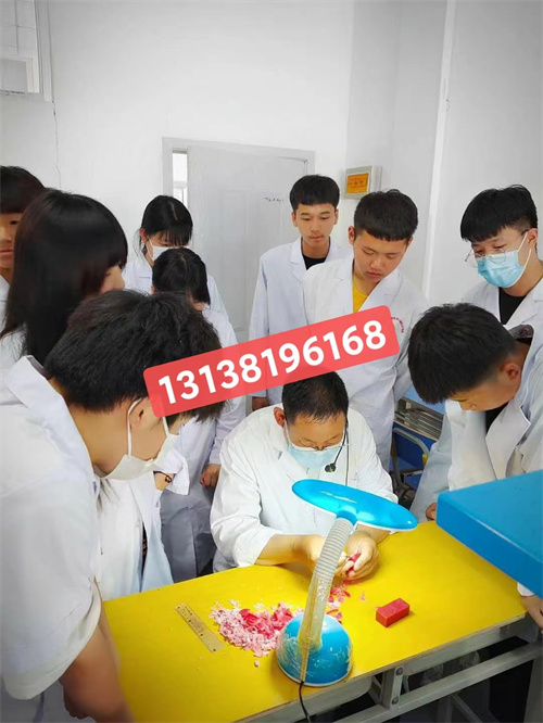 石家莊白求恩醫(yī)學(xué)中專學(xué)?？谇蛔o(hù)理專業(yè)怎么樣？